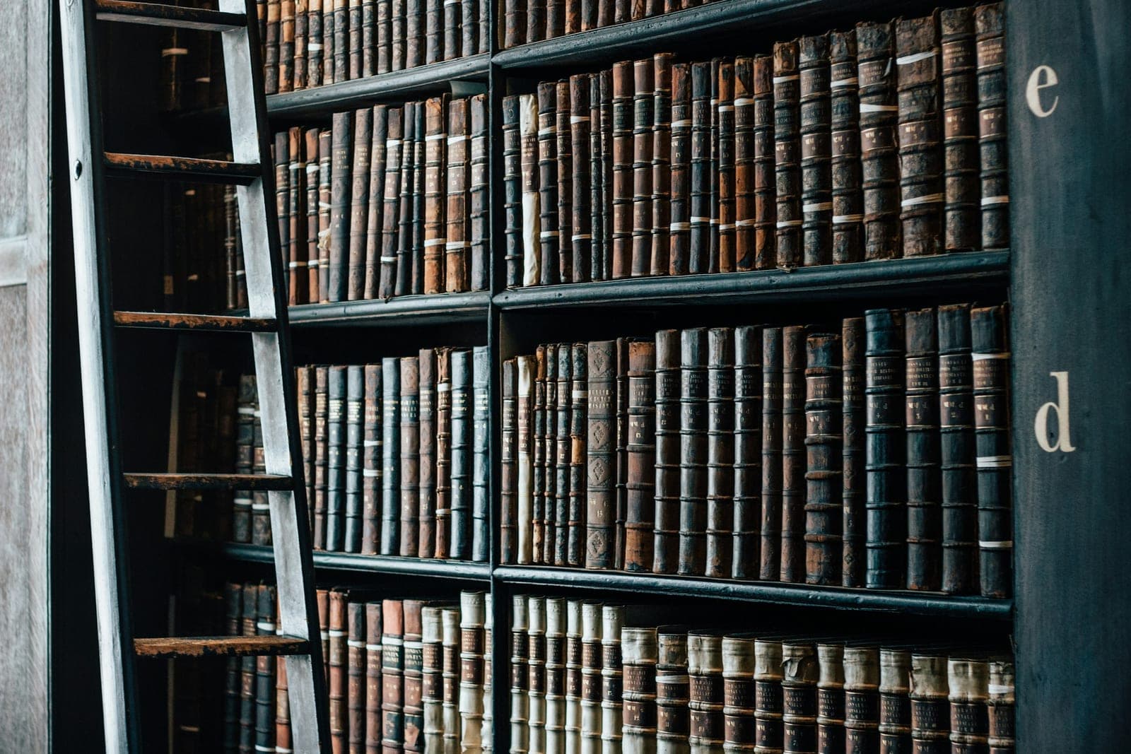 Des rayonnages de livres anciens reliés dans une bibliothèque
